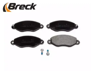 breck-234340070310